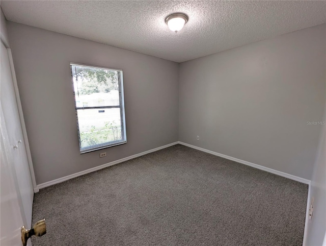 4139 Yellowwood Dr, Valrico, FL 33594 - photo 21