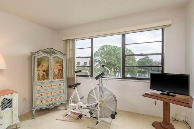 7975 58th Ave N Unit 403, Saint Petersburg, FL 33709 - photo 19