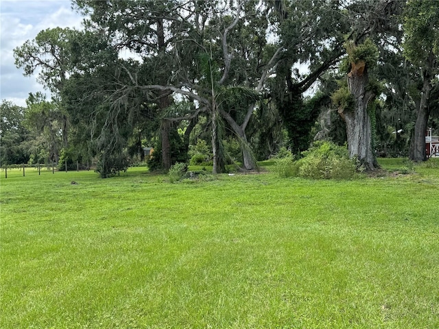 5407 W Knights Griffin Rd, Plant City, FL 33565 - photo 12