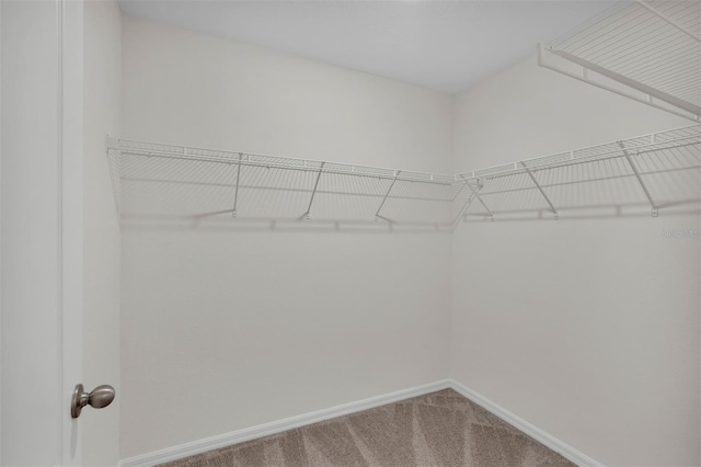 7504 SW 128th St, Ocala, FL 34473 - walk in closet featuring carpet