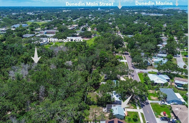 1825 San Mateo Dr, Dunedin, FL 34698 - photo 44