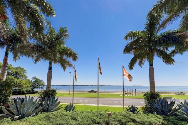 3301 Bayshore Blvd Unit 2302E, Tampa, FL 33629 - photo 52