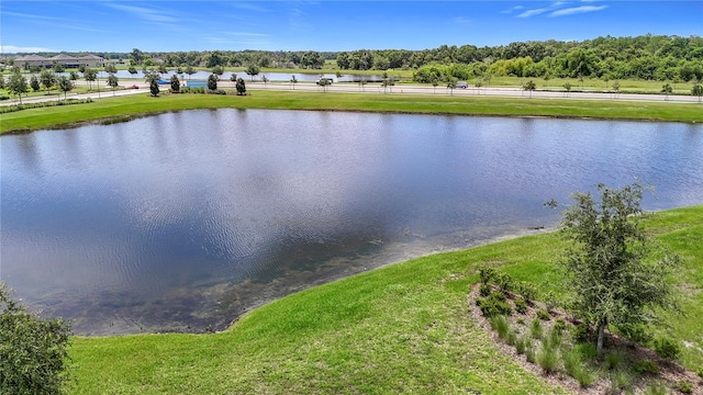 9814 Lemon Drop Loop, Sun City Center, FL 33573 - photo 48