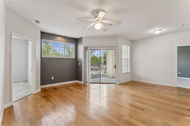 5125 Palm Springs Blvd Unit 1203, Tampa, FL 33647 - photo 5