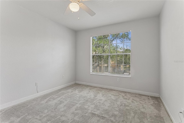 5125 Palm Springs Blvd Unit 1203, Tampa, FL 33647 - photo 14