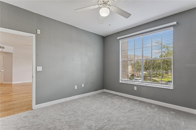 5125 Palm Springs Blvd Unit 1203, Tampa, FL 33647 - photo 16