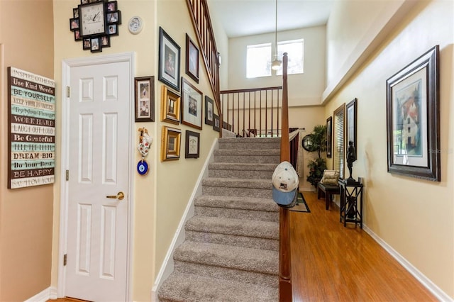 909 Woodbridge Ct, Safety Harbor, FL 34695 - photo 26