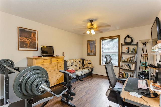 909 Woodbridge Ct, Safety Harbor, FL 34695 - photo 37