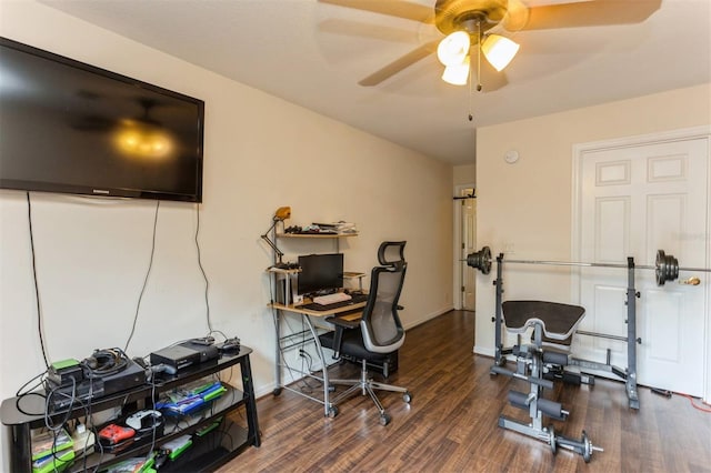 909 Woodbridge Ct, Safety Harbor, FL 34695 - photo 39