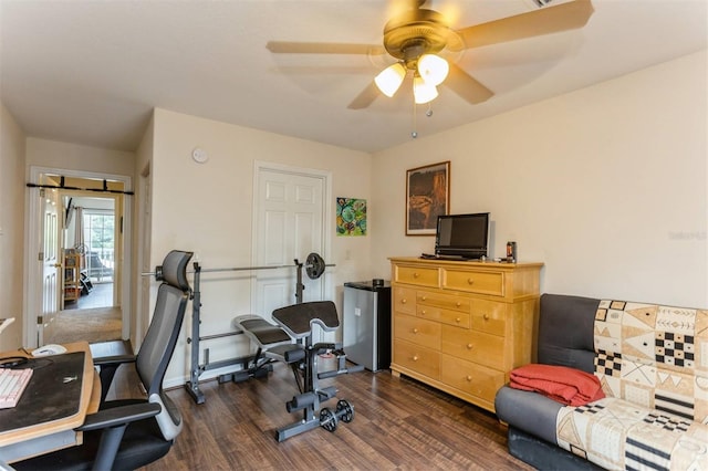 909 Woodbridge Ct, Safety Harbor, FL 34695 - photo 40