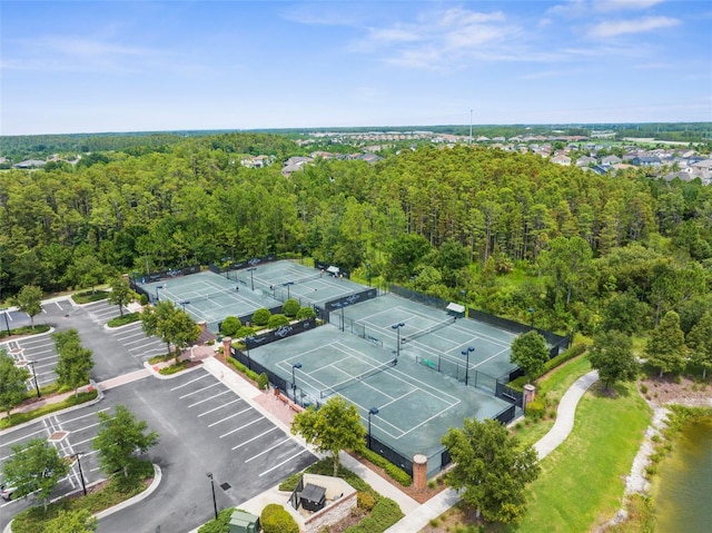 4929 Tivoli Dr, Wesley Chapel, FL 33543 - photo 53