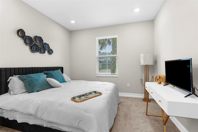 4929 Tivoli Dr, Wesley Chapel, FL 33543 - photo 30
