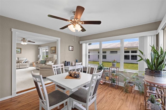 9130 34th Way N Unit 6, Pinellas Park, FL 33782 - photo 13