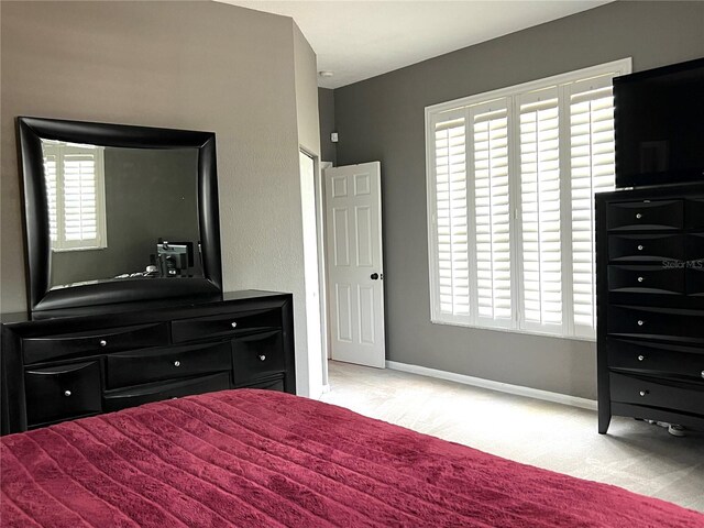 114 S Hale Ave, Tampa, FL 33609 - photo 14