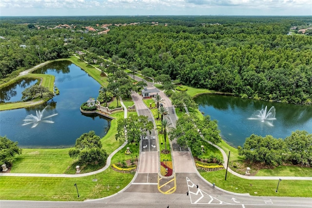 20126 Outpost Point Dr, Tampa, FL 33647 - photo 61