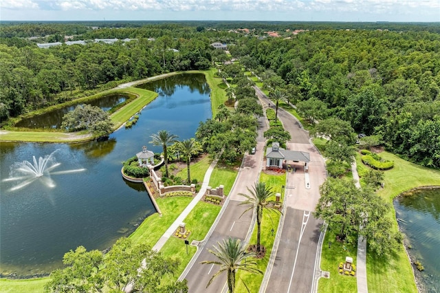20126 Outpost Point Dr, Tampa, FL 33647 - photo 62