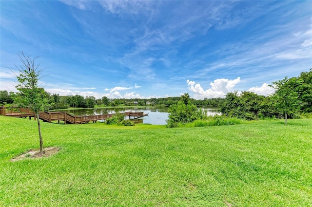 20126 Outpost Point Dr, Tampa, FL 33647 - photo 78