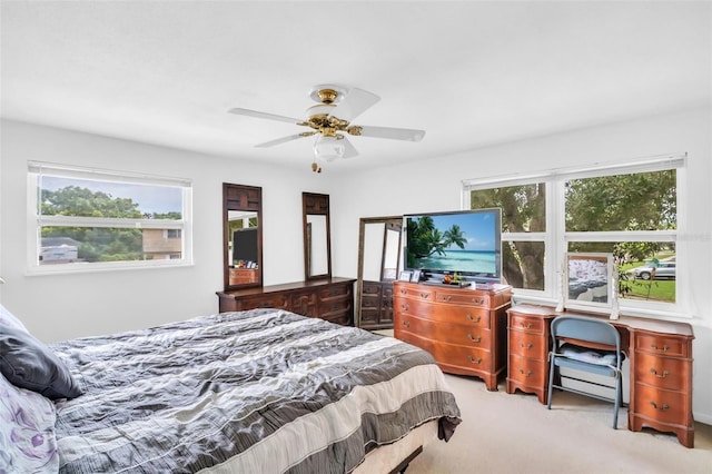 7398 Windsor Ln, Clearwater, FL 33764 - photo 7