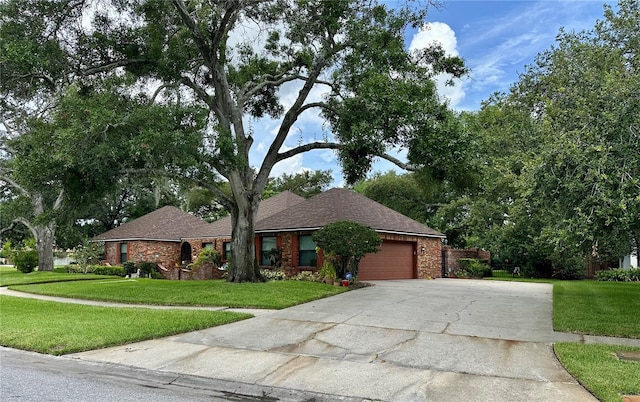 4405 Meadowwood Way, Tampa, FL 33618 - photo 5