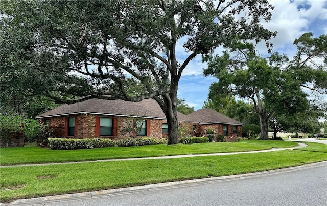 4405 Meadowwood Way, Tampa, FL 33618 - photo 6