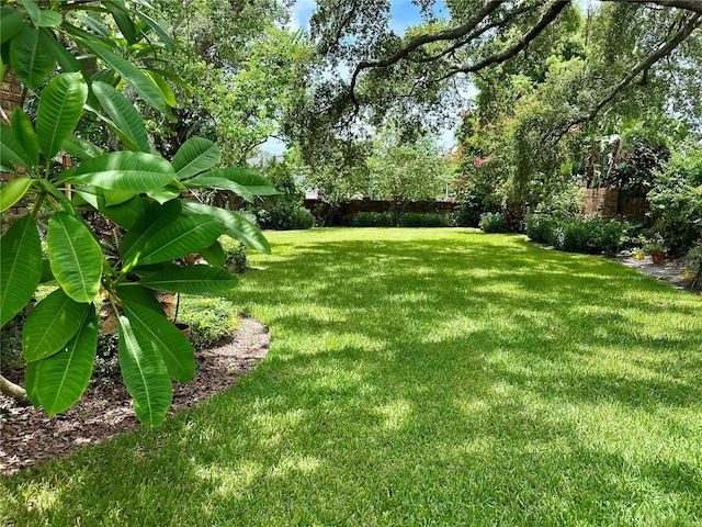 4405 Meadowwood Way, Tampa, FL 33618 - photo 16
