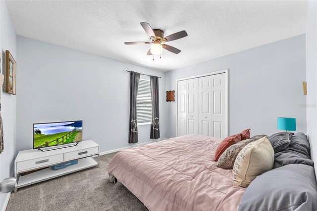 12510 Shirebrook Ct, Tampa, FL 33626 - photo 18