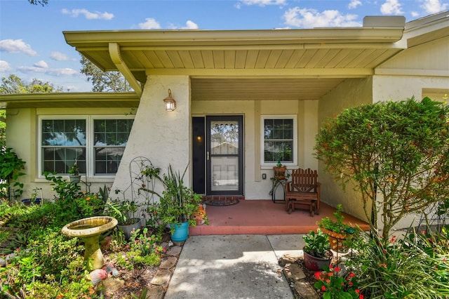 2200 Marshall Dr, Dunedin, FL 34698 - photo 3