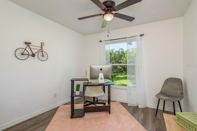 3231 Macgregor Dr, Palm Harbor, FL 34684 - photo 27