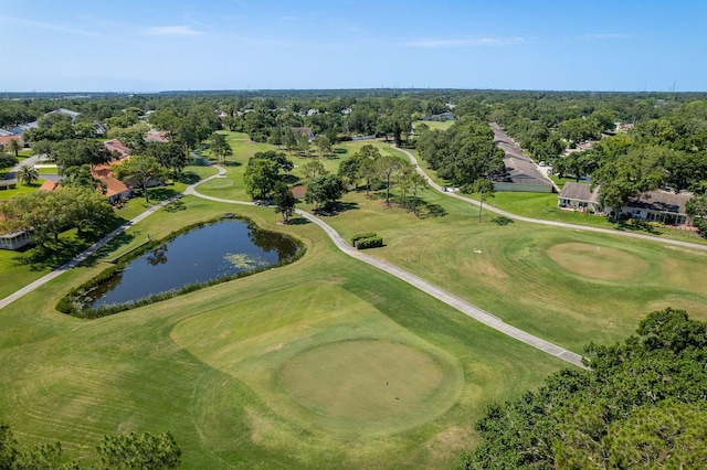 3231 Macgregor Dr, Palm Harbor, FL 34684 - photo 42