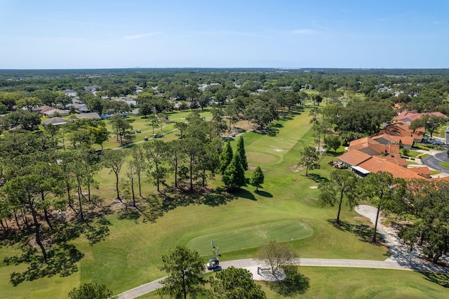 3231 Macgregor Dr, Palm Harbor, FL 34684 - photo 44