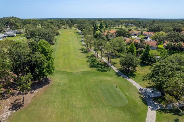 3231 Macgregor Dr, Palm Harbor, FL 34684 - photo 45