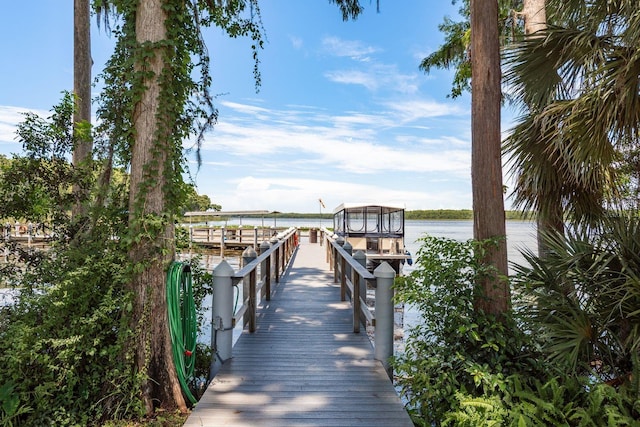 3231 Macgregor Dr, Palm Harbor, FL 34684 - photo 55
