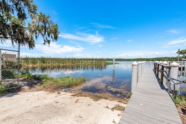 3231 Macgregor Dr, Palm Harbor, FL 34684 - photo 59