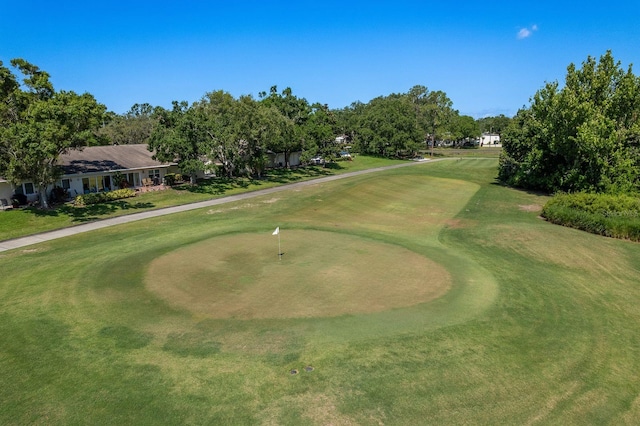 3231 Macgregor Dr, Palm Harbor, FL 34684 - photo 64