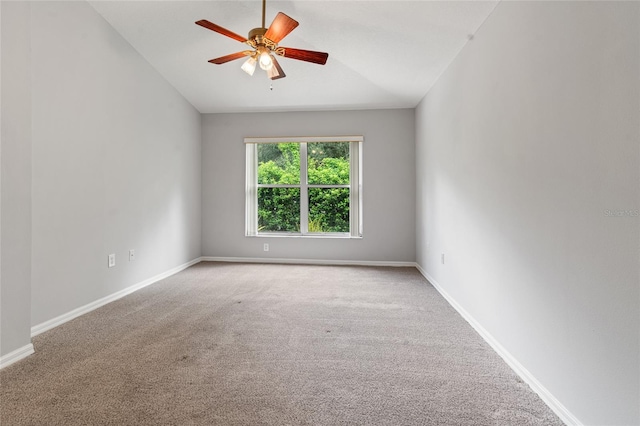 26315 Whirlaway Ter, Wesley Chapel, FL 33544 - photo 16
