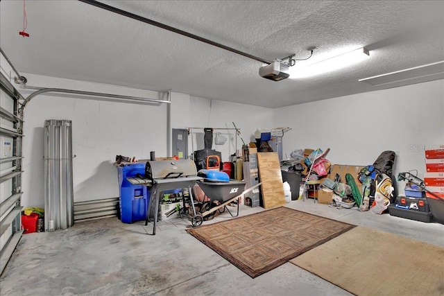 769 Calico Scallop St, Ruskin, FL 33570 - photo 51