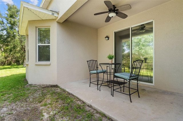 32914 Hillman Ct, Wesley Chapel, FL 33543 - photo 20