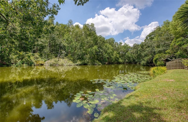 4608 Ridge Point Dr, Tampa, FL 33624 - photo 8