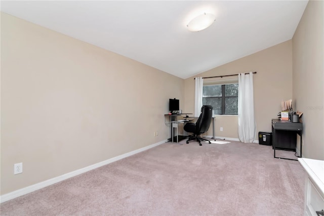 20110 Pond Spring Way, Tampa, FL 33647 - photo 38