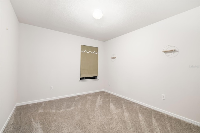 8509 Abalone Loop, Parrish, FL 34219 - photo 31