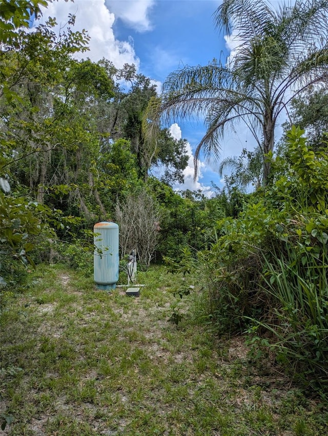 0 Avonwood St, Tampa, FL 33625 - photo 5