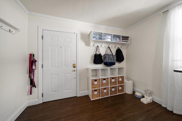 652 42nd Ave NE, Saint Petersburg, FL 33703 - photo 24
