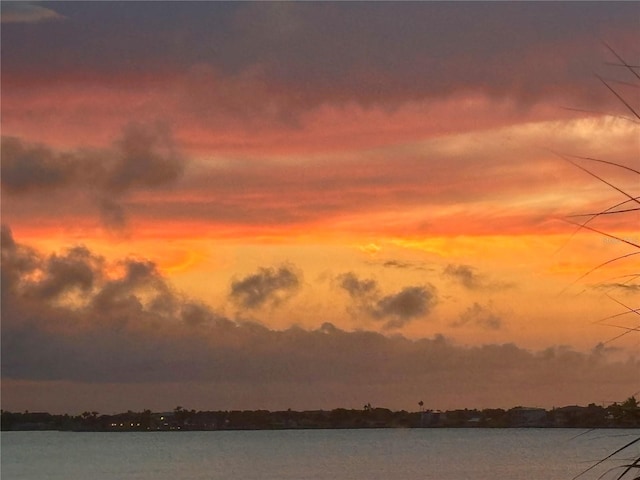 100 Bluff View Dr Unit 208A, Belleair Bluffs, FL 33770 - photo 47