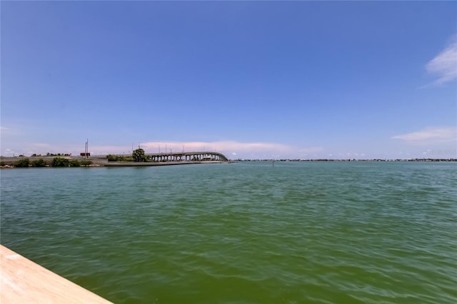100 Bluff View Dr Unit 208A, Belleair Bluffs, FL 33770 - photo 43