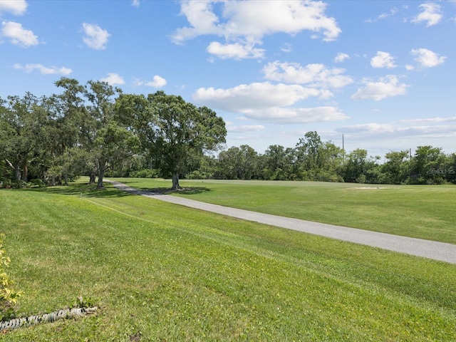 150 Poole Pl, Oldsmar, FL 34677 - photo 47