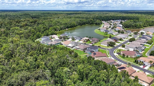 4616 Roslyn Ct, Land O Lakes, FL 34639 - photo 52