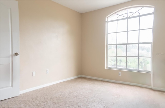 7326 Yardley Way, Tampa, FL 33647 - photo 19