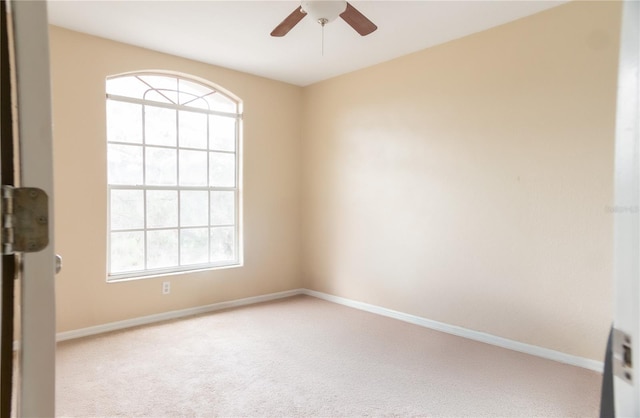 7326 Yardley Way, Tampa, FL 33647 - photo 21