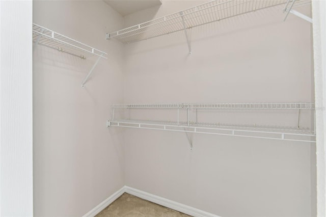 18940 Duquesne Dr, Tampa, FL 33647 - photo 28