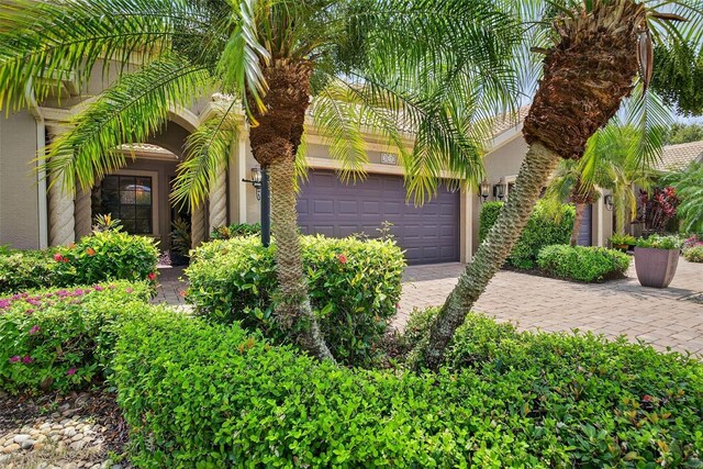 2512 61st Ave E, Ellenton, FL 34222 - photo 6